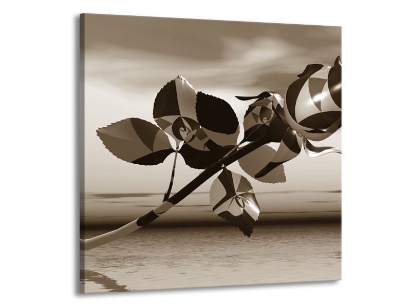 Glasschilderij Bloem, Roos | Sepia | 70x70cm 1Luik