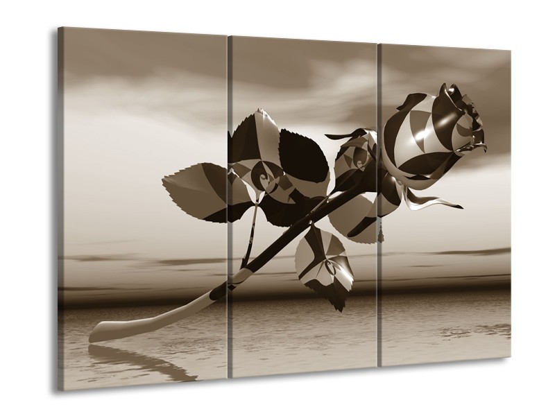 Glasschilderij Bloem, Roos | Sepia | 60x90cm 3Luik