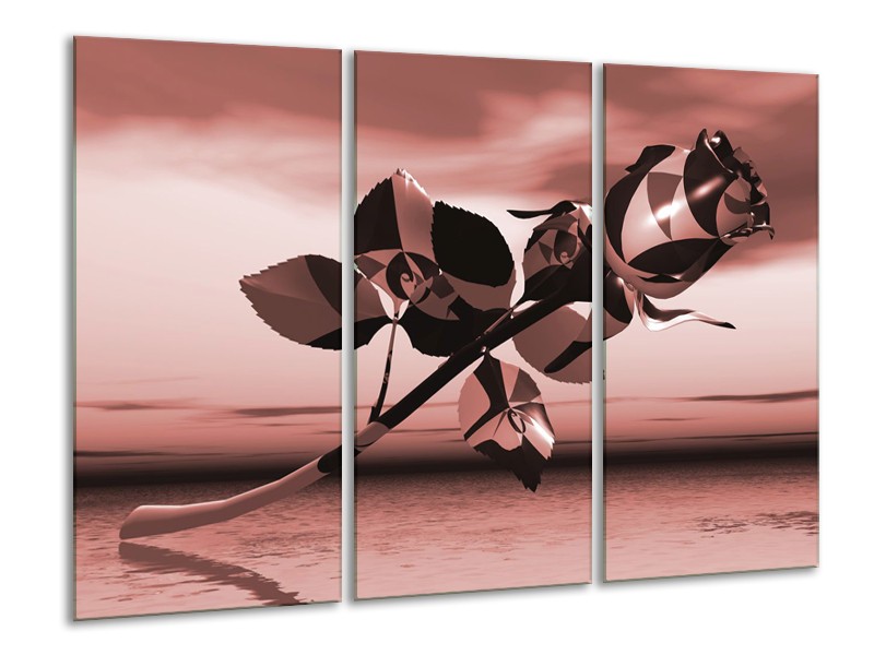 Canvas Schilderij Bloem, Roos | Bruin, Rood | 120x80cm 3Luik