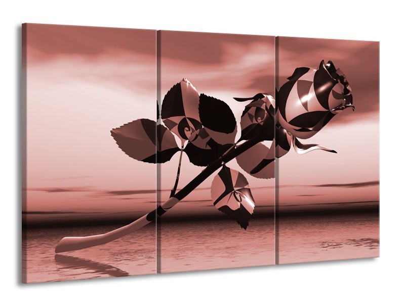 Glasschilderij Bloem, Roos | Bruin, Rood | 165x100cm 3Luik