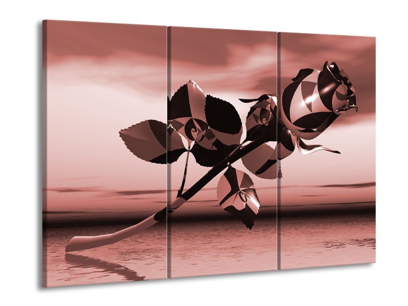 Glasschilderij Bloem, Roos | Bruin, Rood | 60x90cm 3Luik