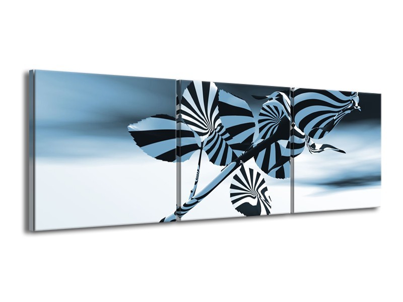 Glasschilderij Bloem, Roos | Blauw, Zilver | 150x50cm 3Luik