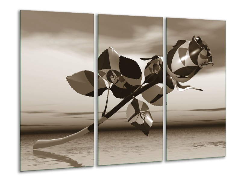 Glasschilderij Bloem, Roos | Sepia | 120x80cm 3Luik