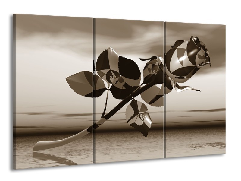 Glasschilderij Bloem, Roos | Sepia | 165x100cm 3Luik