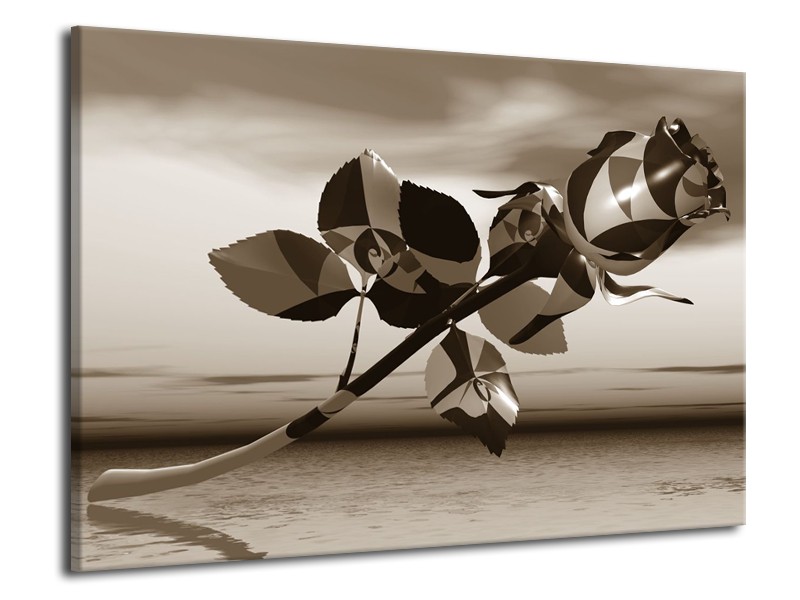 Glasschilderij Bloem, Roos | Sepia | 70x50cm 1Luik