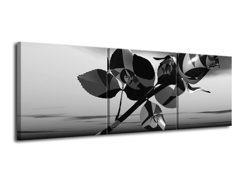 Glasschilderij Bloem, Roos | Grijs, Zwart | 120x40cm 3Luik