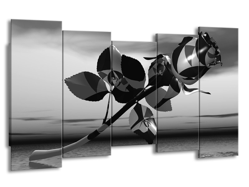 Glasschilderij Bloem, Roos | Grijs, Zwart | 150x80cm 5Luik