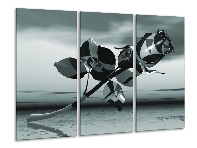 Glasschilderij Bloem, Roos | Grijs, | 120x80cm 3Luik