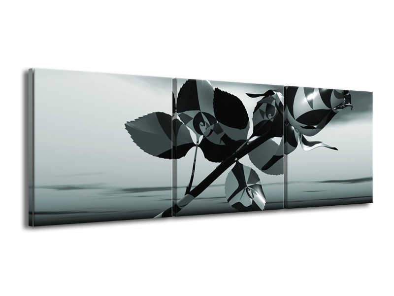 Glasschilderij Bloem, Roos | Grijs, | 150x50cm 3Luik