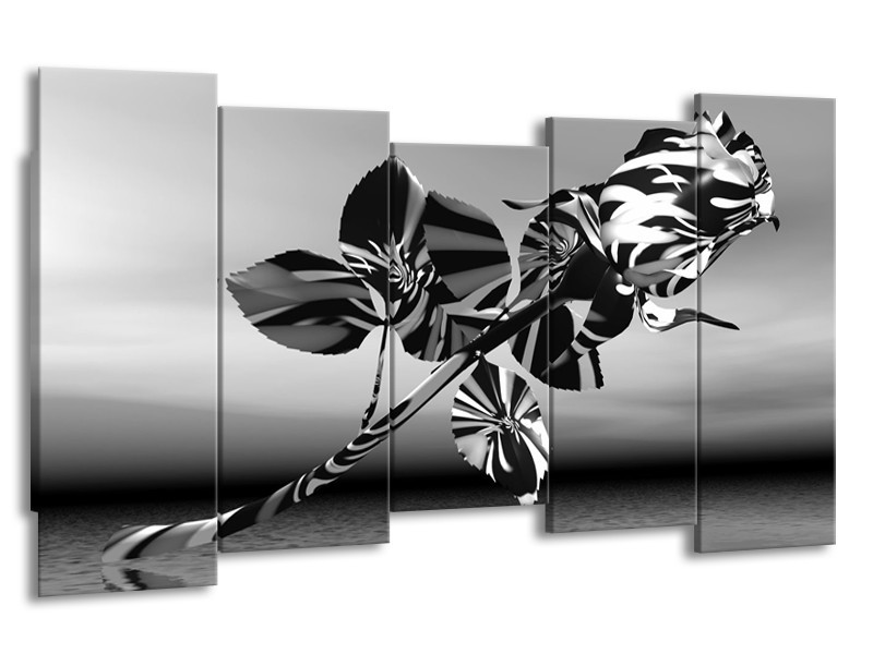 Glasschilderij Bloem, Roos | Grijs Zwart, Wit | 150x80cm 5Luik