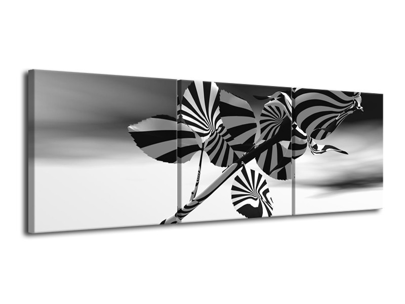 Canvas Schilderij Bloem, Roos | Grijs, Zwart | 120x40cm 3Luik