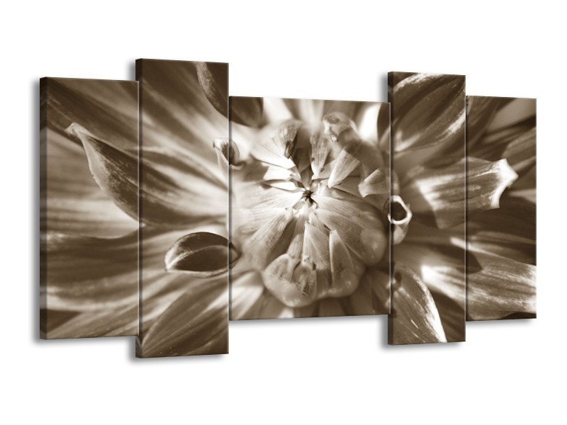 Canvas Schilderij Bloem | Sepia | 120x65cm 5Luik