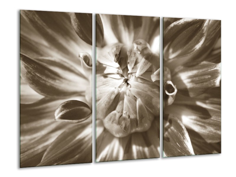 Glasschilderij Bloem | Sepia | 120x80cm 3Luik