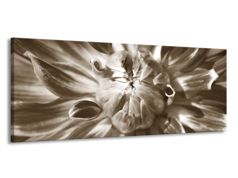 Canvas Schilderij Bloem | Sepia | 145x58cm 1Luik