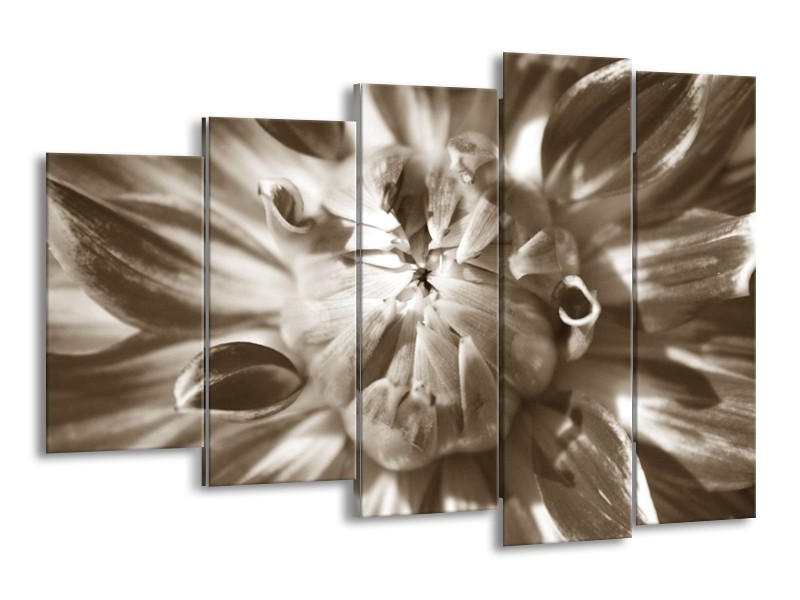 Canvas Schilderij Bloem | Sepia | 150x100cm 5Luik