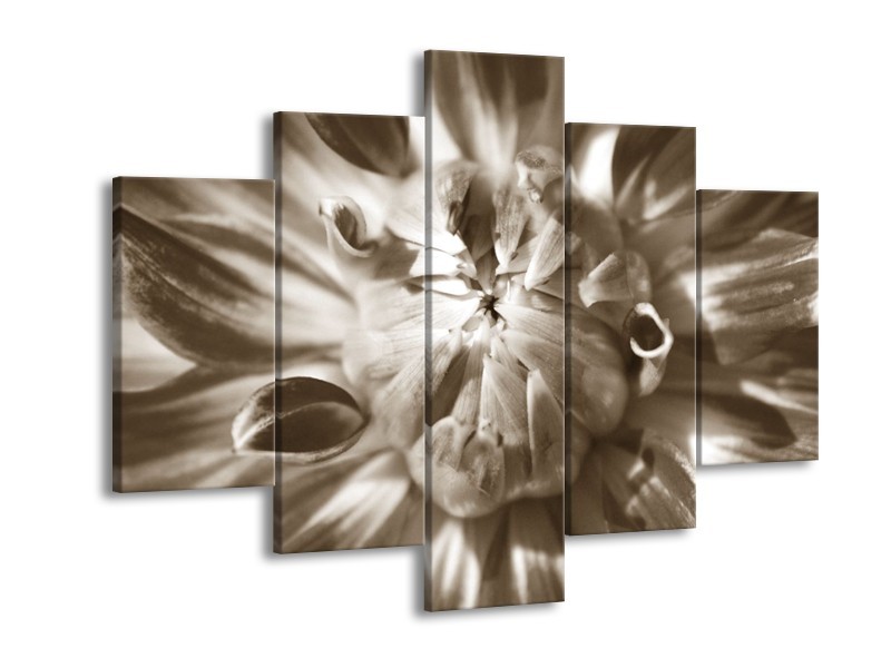 Canvas Schilderij Bloem | Sepia | 150x105cm 5Luik