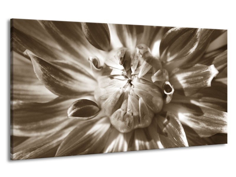 Canvas Schilderij Bloem | Sepia | 190x100cm 1Luik