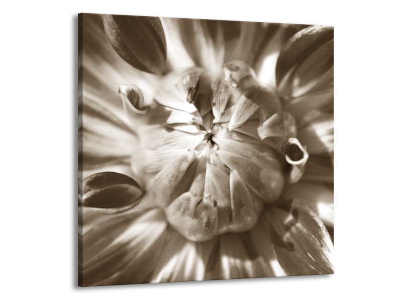 Canvas Schilderij Bloem | Sepia | 50x50cm 1Luik