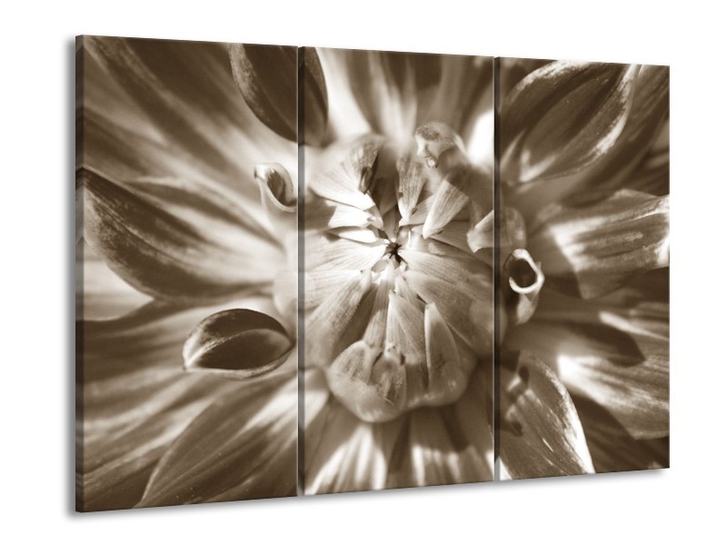 Glasschilderij Bloem | Sepia | 60x90cm 3Luik