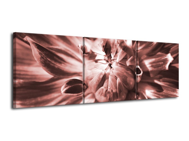 Canvas Schilderij Bloem | Bruin, Rood | 120x40cm 3Luik