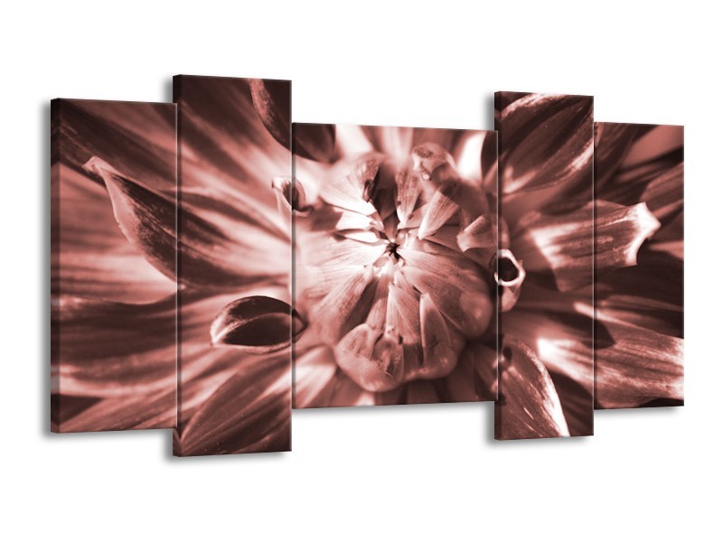 Canvas Schilderij Bloem | Bruin, Rood | 120x65cm 5Luik