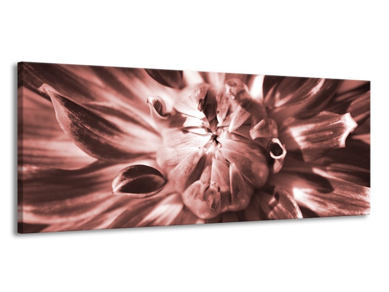 Glasschilderij Bloem | Bruin, Rood | 145x58cm 1Luik