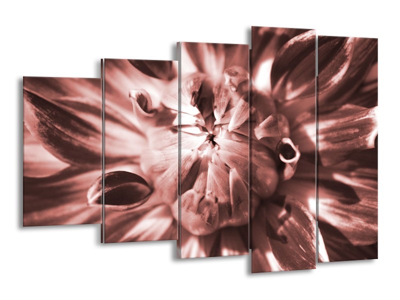 Glasschilderij Bloem | Bruin, Rood | 150x100cm 5Luik