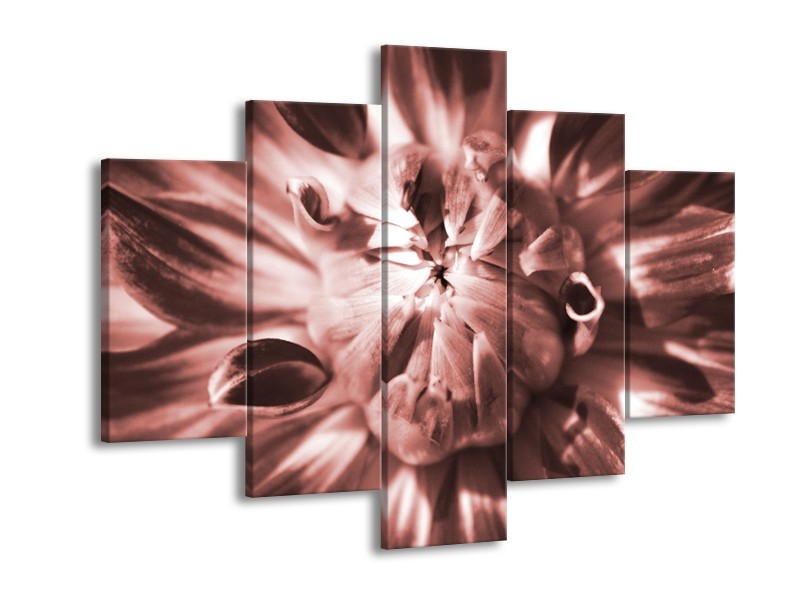 Glasschilderij Bloem | Bruin, Rood | 150x105cm 5Luik