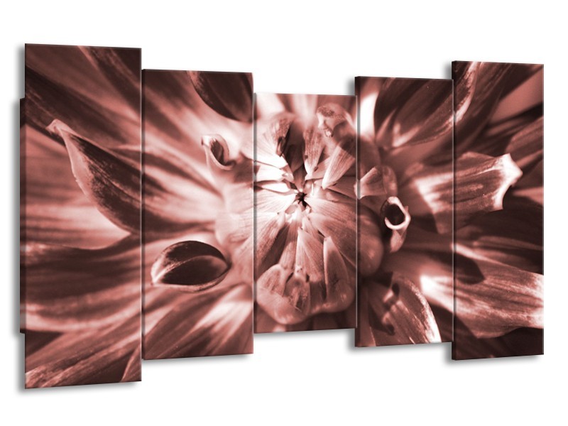 Glasschilderij Bloem | Bruin, Rood | 150x80cm 5Luik