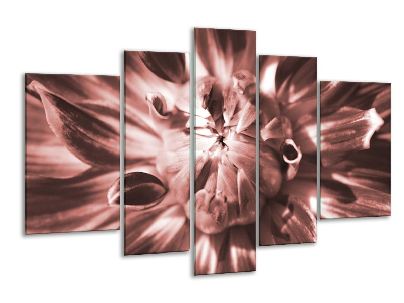 Glasschilderij Bloem | Bruin, Rood | 170x100cm 5Luik