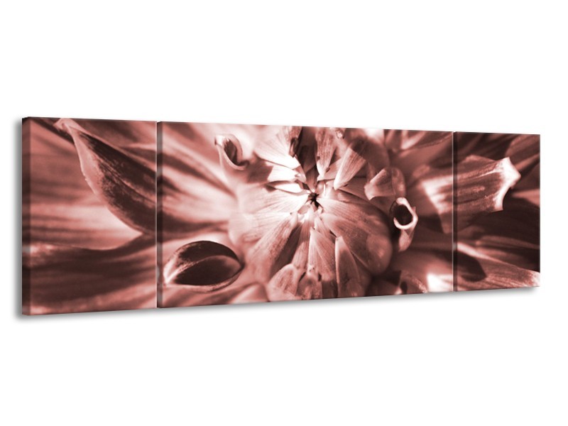 Glasschilderij Bloem | Bruin, Rood | 170x50cm 3Luik