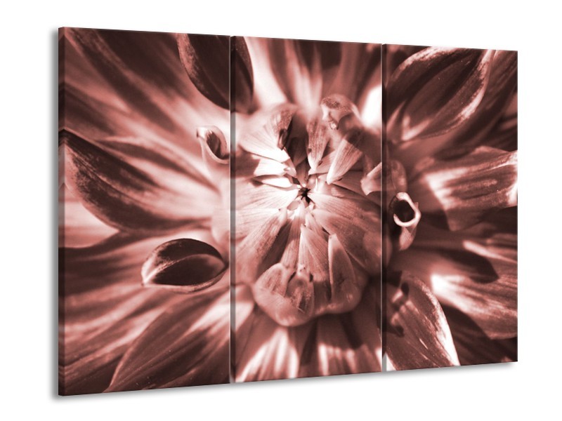 Glasschilderij Bloem | Bruin, Rood | 60x90cm 3Luik