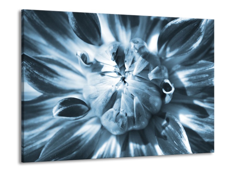 Glasschilderij Bloem | Blauw | 100x70cm 1Luik