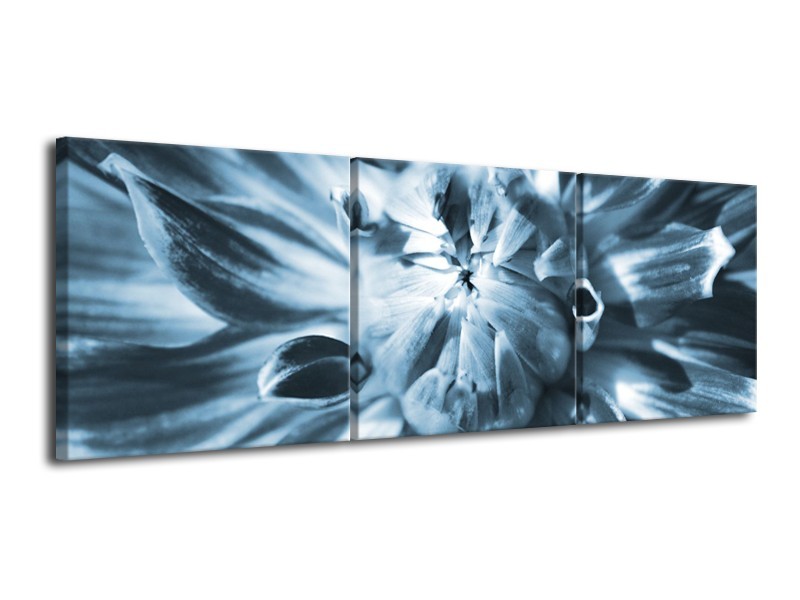 Canvas Schilderij Bloem | Blauw | 120x40cm 3Luik