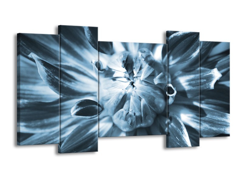 Glasschilderij Bloem | Blauw | 120x65cm 5Luik