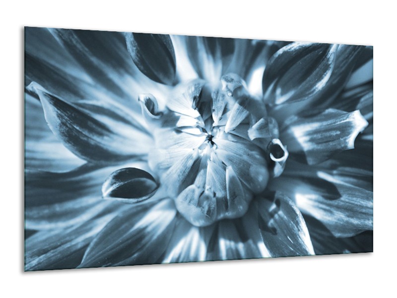 Glasschilderij Bloem | Blauw | 120x70cm 1Luik