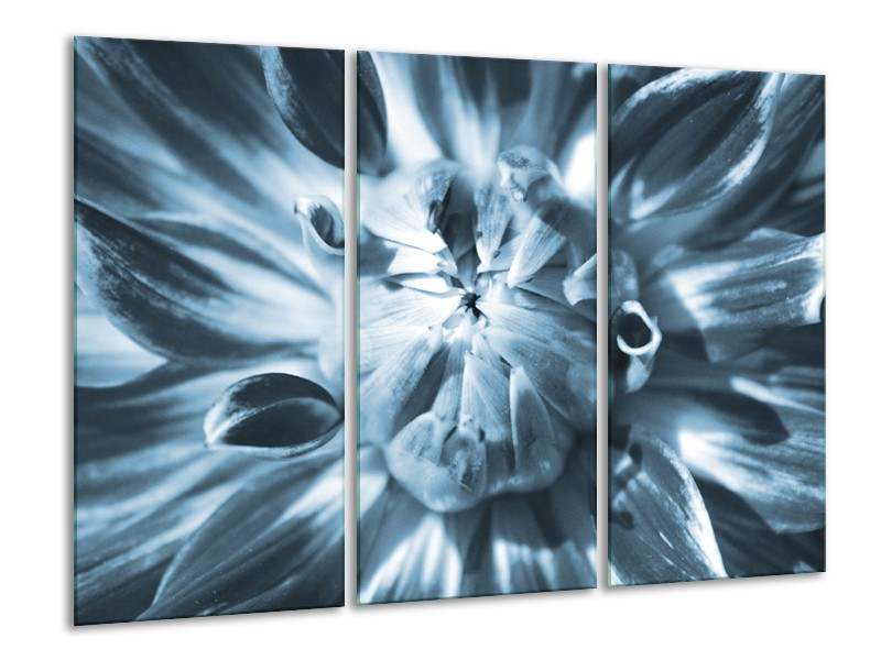 Glasschilderij Bloem | Blauw | 120x80cm 3Luik