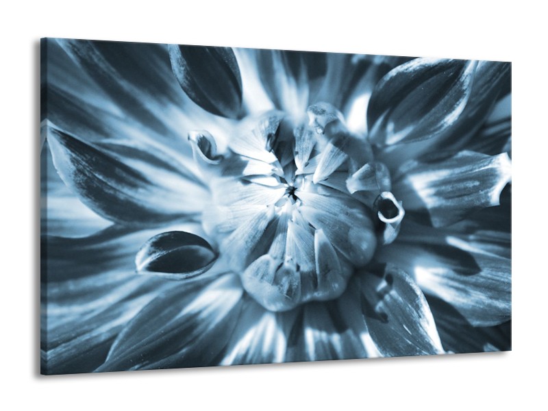 Glasschilderij Bloem | Blauw | 140x90cm 1Luik