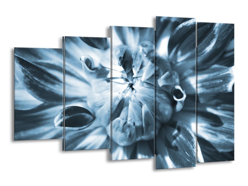 Glasschilderij Bloem | Blauw | 150x100cm 5Luik