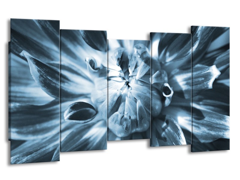 Glasschilderij Bloem | Blauw | 150x80cm 5Luik