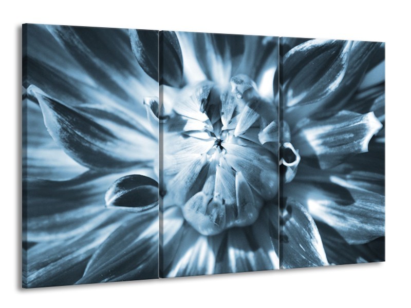 Canvas Schilderij Bloem | Blauw | 165x100cm 3Luik