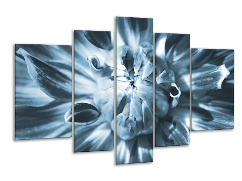 Glasschilderij Bloem | Blauw | 170x100cm 5Luik