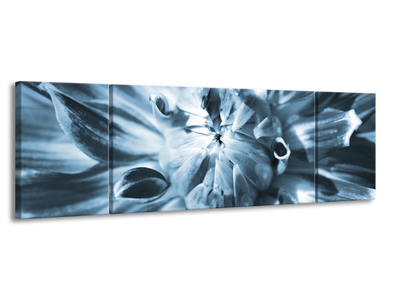 Glasschilderij Bloem | Blauw | 170x50cm 3Luik