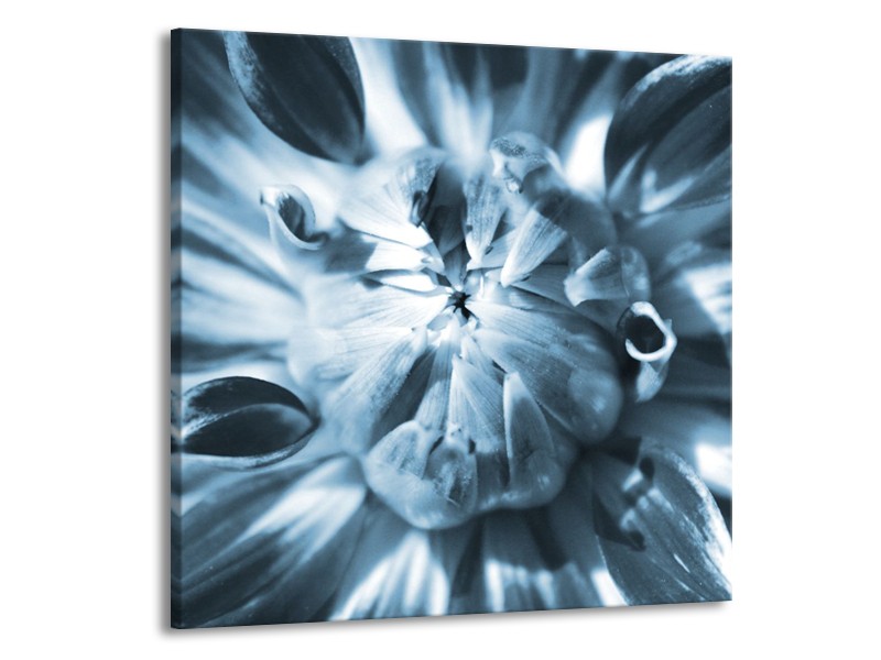 Glasschilderij Bloem | Blauw | 50x50cm 1Luik