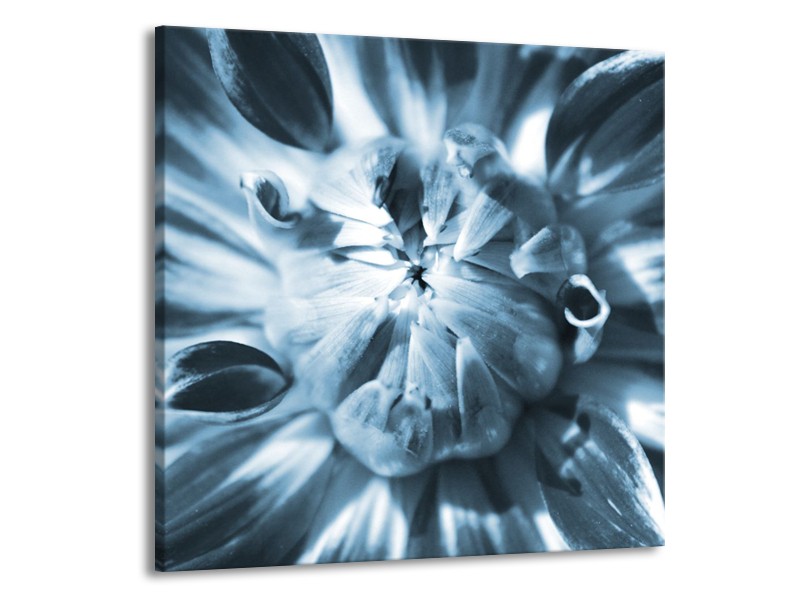 Glasschilderij Bloem | Blauw | 70x70cm 1Luik