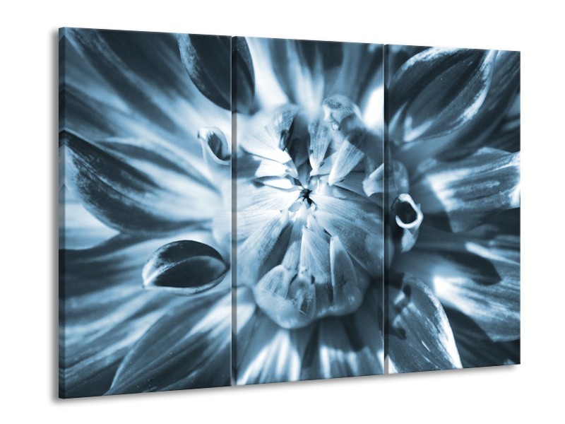 Canvas Schilderij Bloem | Blauw | 60x90cm 3Luik