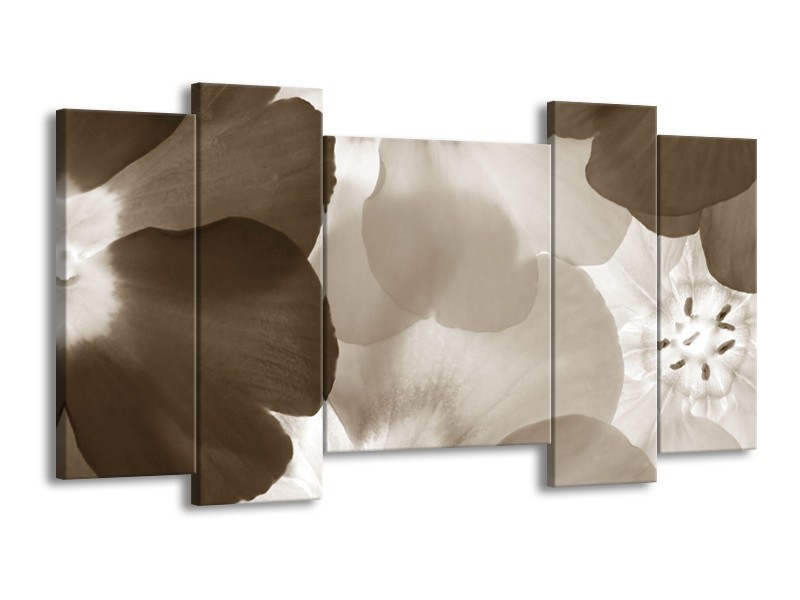 Glasschilderij Bloem | Sepia | 120x65cm 5Luik