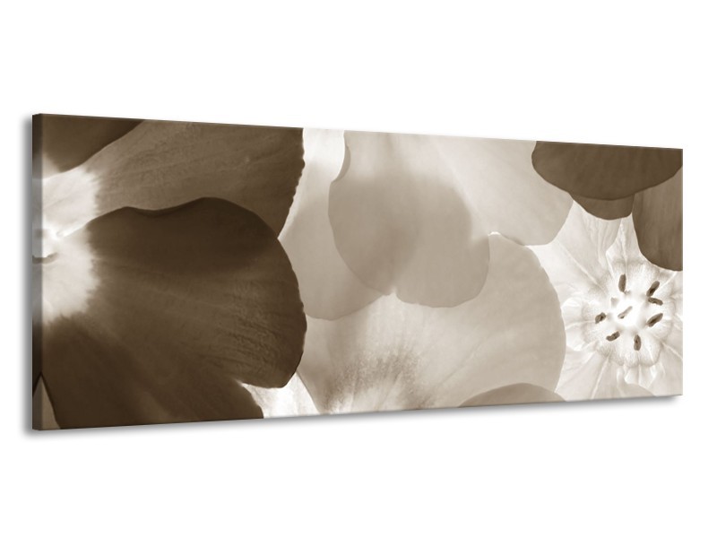 Canvas Schilderij Bloem | Sepia | 145x58cm 1Luik