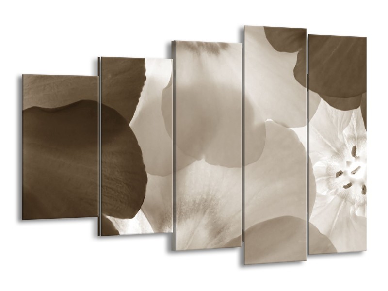 Glasschilderij Bloem | Sepia | 150x100cm 5Luik