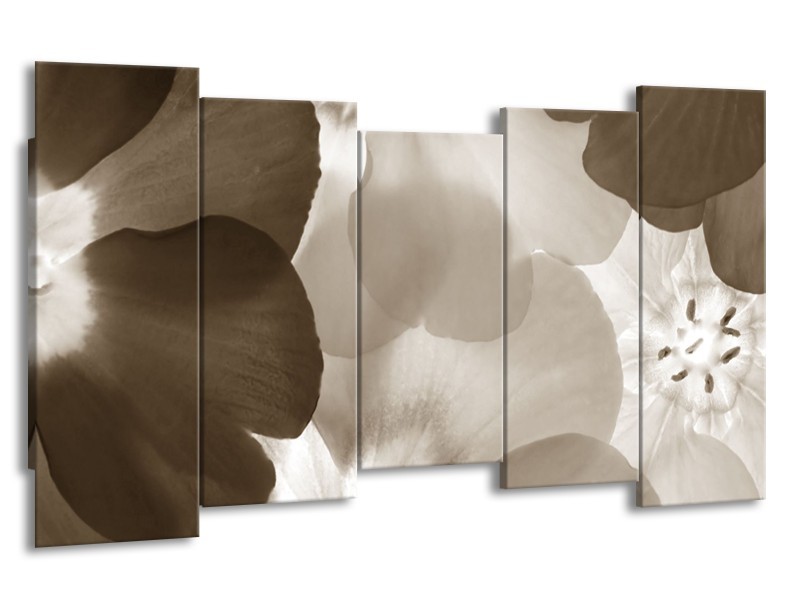 Glasschilderij Bloem | Sepia | 150x80cm 5Luik